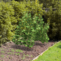 Enrejado De 2 Piezas Para Pepinos Soporte Para Plantas Trepadoras Verdura Fruta Enrejado Para Jardín Invernadero Balcón