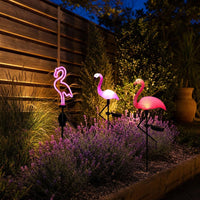 Flamencos solares encendidos en un parterre al anochecer