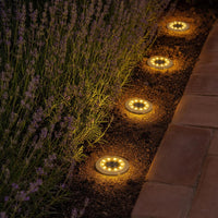 Foto de ambiente: Borde de un parterre de lavanda junto a una terraza de barro de noche