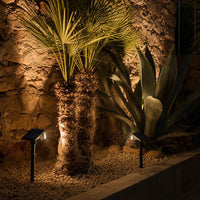 Foto de ambiente: Jardín de noche