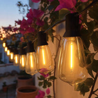 Bombillas vintage encendidas entre buganvillas